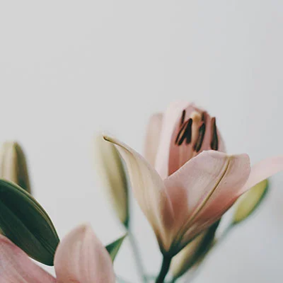 掌握Clash模式：从入门到精通的完整配置指南与实战技巧